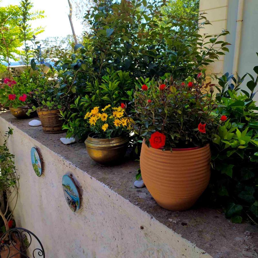 Appartement Casa Di Rosi, Seaview In Corfu Town *